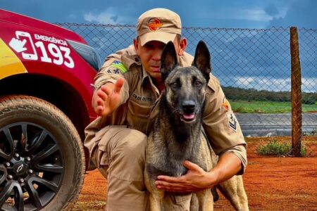 Bombeiros de 4 patas ganham homenagem no Dia do Cão de Busca e Resgate, em Luziânia