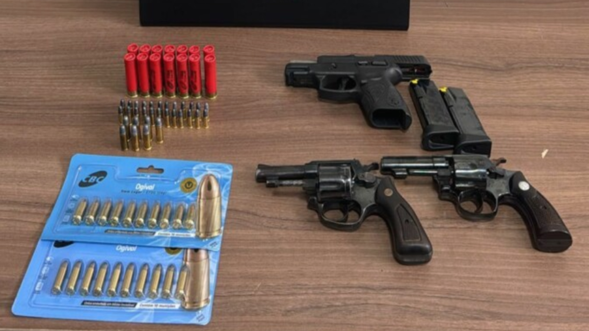 Durante a ação, a polícia apreendeu munições e armas de fogo (Foto: Divulgação/PCGO)