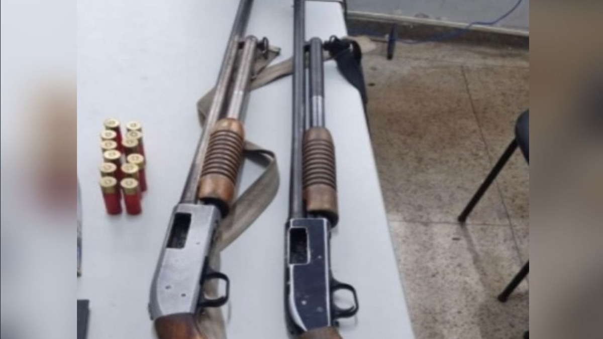 Espingardas apreendidas (Foto: Reprodução)