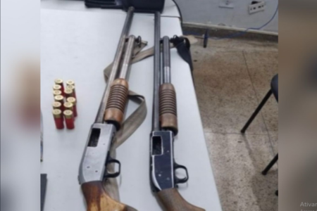 Espingardas apreendidas (Foto: Reprodução)