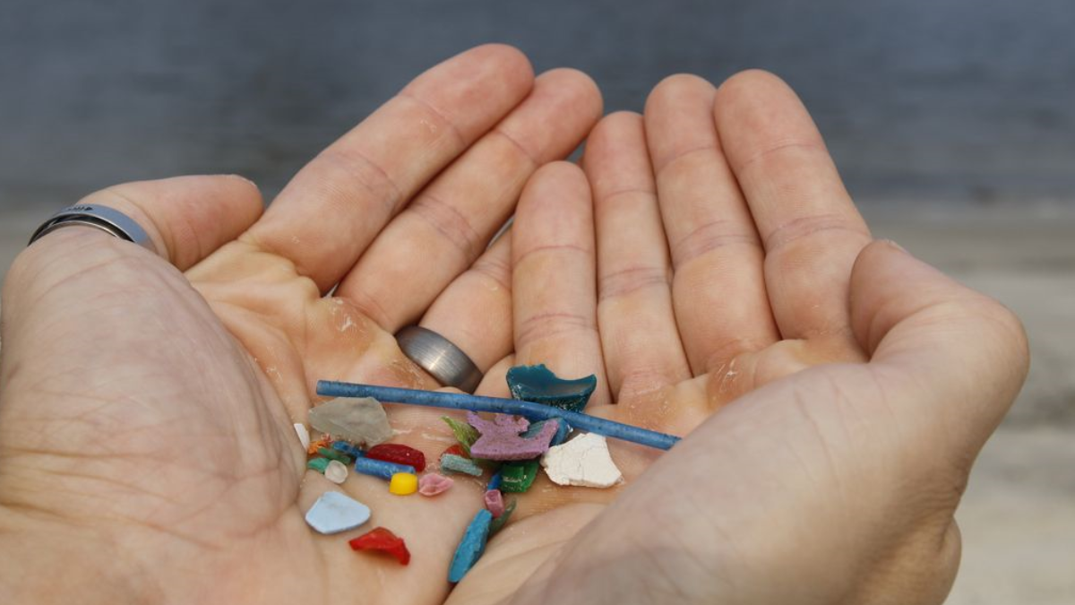 Ingestão de microplásticos é prejudicial à saúde (Foto: Agência Brasil)