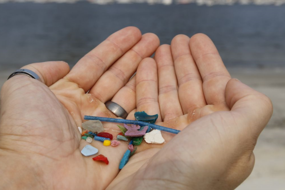 Ingestão de microplásticos é prejudicial à saúde (Foto: Agência Brasil)