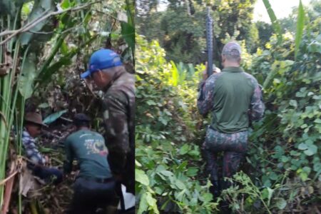 Onça que devorou caseiro no Pantanal ataca equipe de buscas; vídeo enquanto tentavam resgatar os restos mortais da vítima