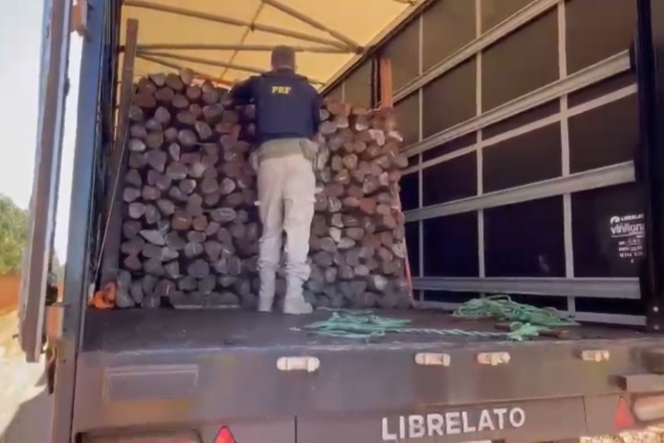 PRF apreende caminhão transportando madeira ilegal na BR-153, em Anápolis