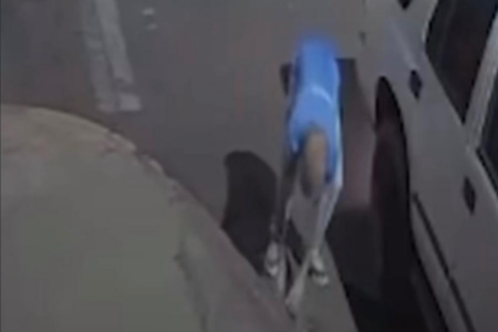 Câmeras de segurança registraram o animal sendo abandonado (Foto: Reprodução)