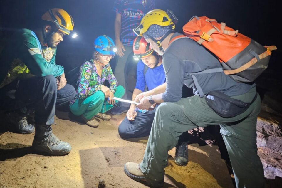Curso da Semad sobre cavernas no Parque Estadual de Terra Ronca (Foto: Divulgação)