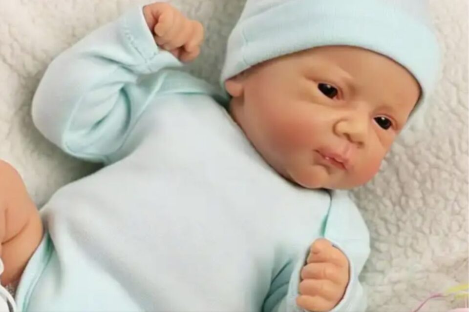 Bebê reborn, que virou moda (Foto: Reprodução/redes sociais)