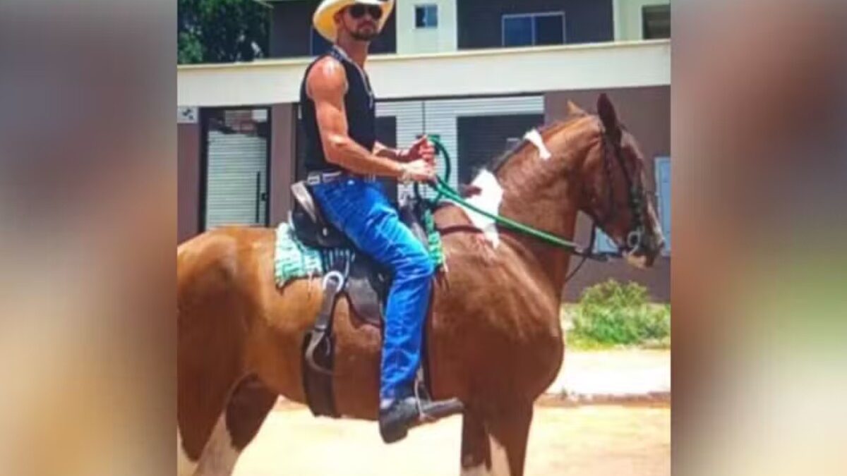 Cavaleiro e égua morrem após serem atingidos por carro na BR-040, em Luziânia