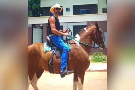 Cavaleiro e égua morrem após serem atingidos por carro na BR-040, em Luziânia