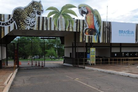 Zoológico de Brasília fecha por suspeita de gripe aviária