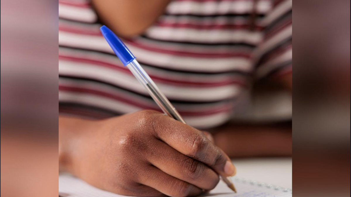 Lei reserva 20% das vagas de concursos públicos para negros (Foto: Freepik)