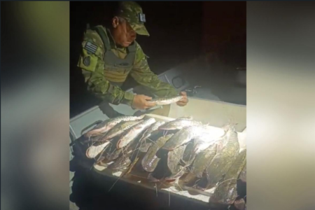 Polícia apreende 50 kg de pescado em operação de fiscalização (Foto: Reprodução)