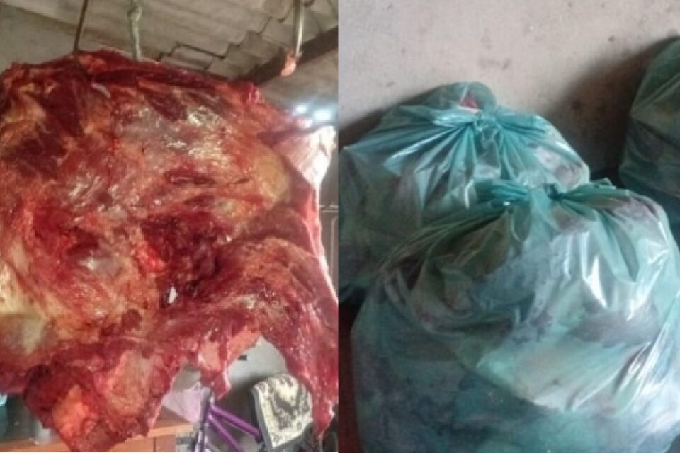Homem é preso após usar garagem de casa como açougue clandestino no DF carne armazenadas em baldes espalhadas em lonas no chão