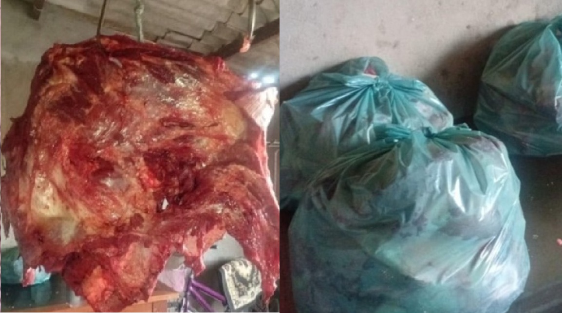 Homem é preso após usar garagem de casa como açougue clandestino no DF carne armazenadas em baldes espalhadas em lonas no chão