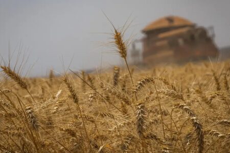 Conab prorroga inscrições para concurso até 20 de maio