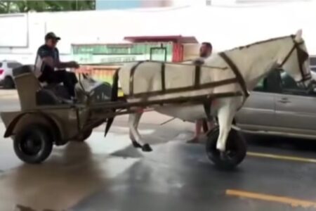 "Carroça-moto" com estátua de cavalo viraliza nas redes sociais