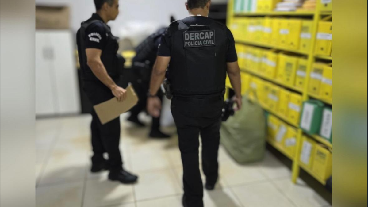 Empresa de transporte coletiva utilizava documentos falsos (Foto: Divulgação PCGO)