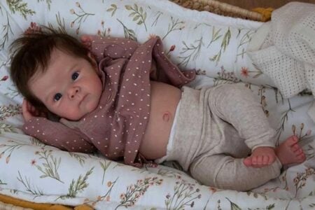 Para que serve um bebê reborn? Bonecos são usados em algumas abordagens clínicas "bonecos podem ser um recurso interessante, diz médico