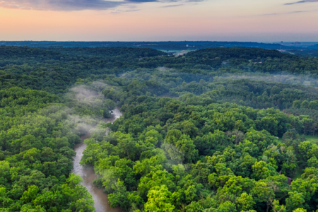 Imagem representativa da mata atlântica