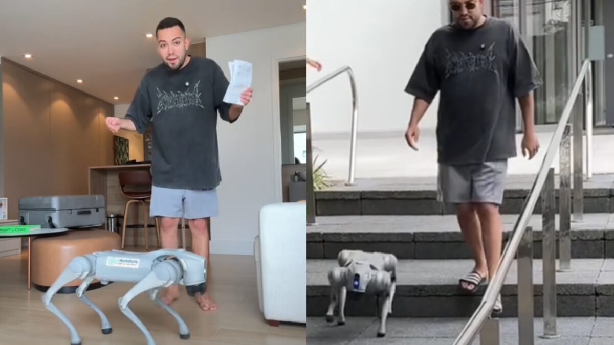 Cachorro-robô de Lucas Rangel mistura alta tecnologia e praticidade