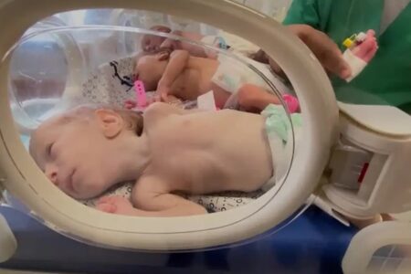 14 mil bebês podem morrer em Gaza em 48 horas se Israel não permitir ajuda, diz ONU liberação de Netanyahu é uma gota no oceano necessário