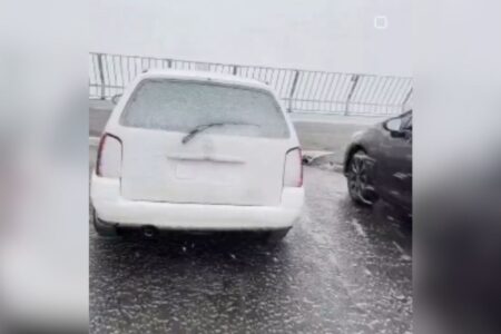 Neve em Santa Catarina e Rio Grande do Sul (Foto: Reprodução)