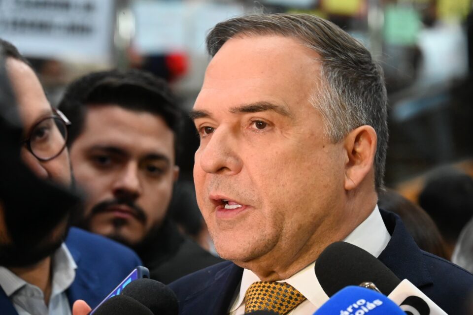 mabel-prestacao-de-contas