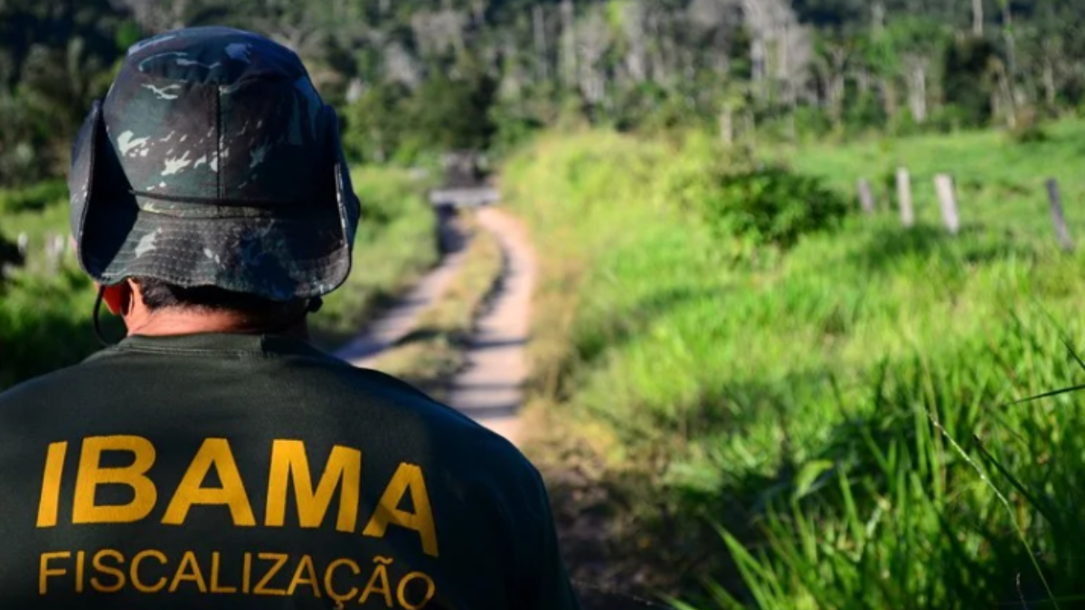 Imagem de um homem usando o uniforme da fiscalização do Ibama