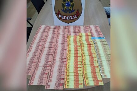 Dinheiro falso apreendido pela PF em Anápolis (Foto: Divulgação)