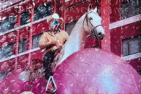 Exposição 'Sob nossos cascos' mistura imagem, som e memória em Goiânia