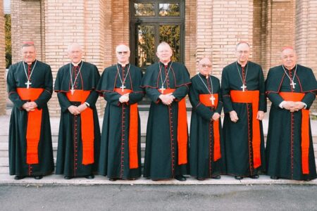 Cardeais Brasileiros