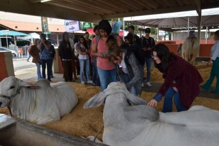 Pecuária de Goiânia espera 500 mil pessoas e mais de R$100 milhões em negócios