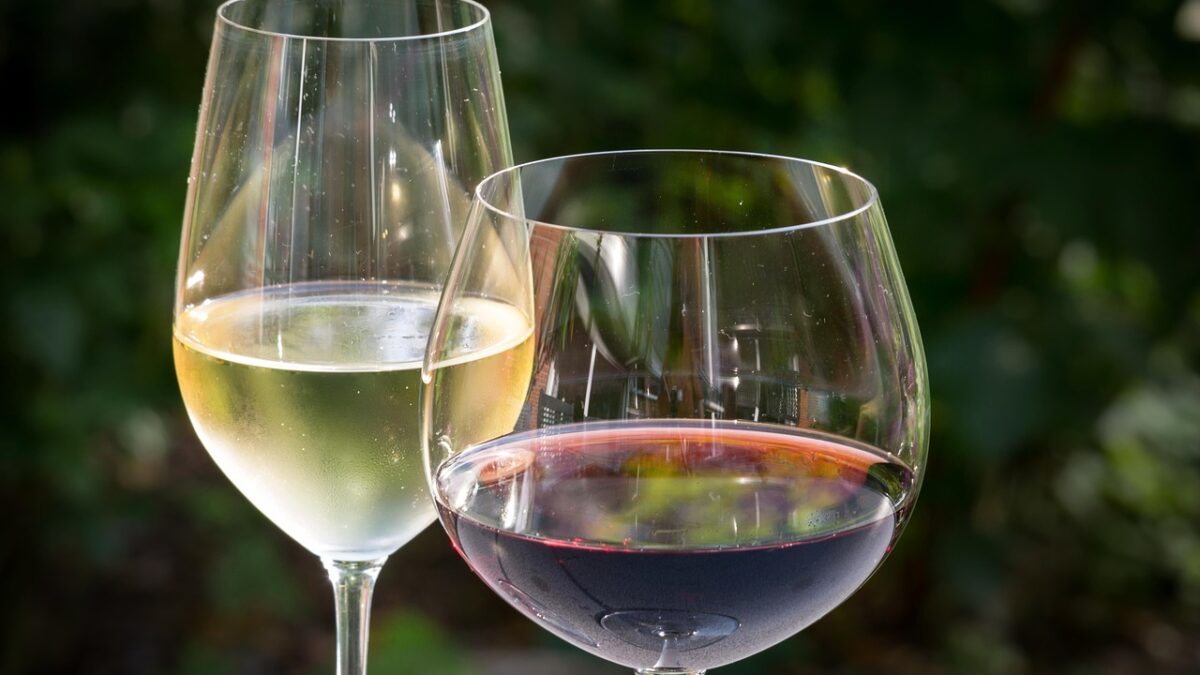 Lista de melhores vinhos do Brasil (Foto: Pixabay)