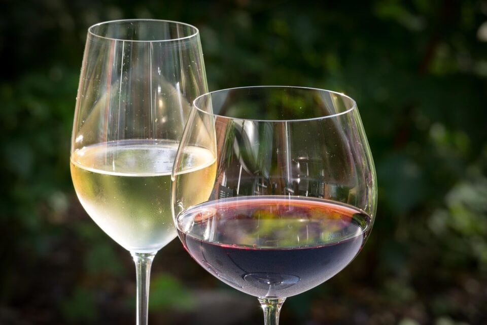 Lista de melhores vinhos do Brasil (Foto: Pixabay)