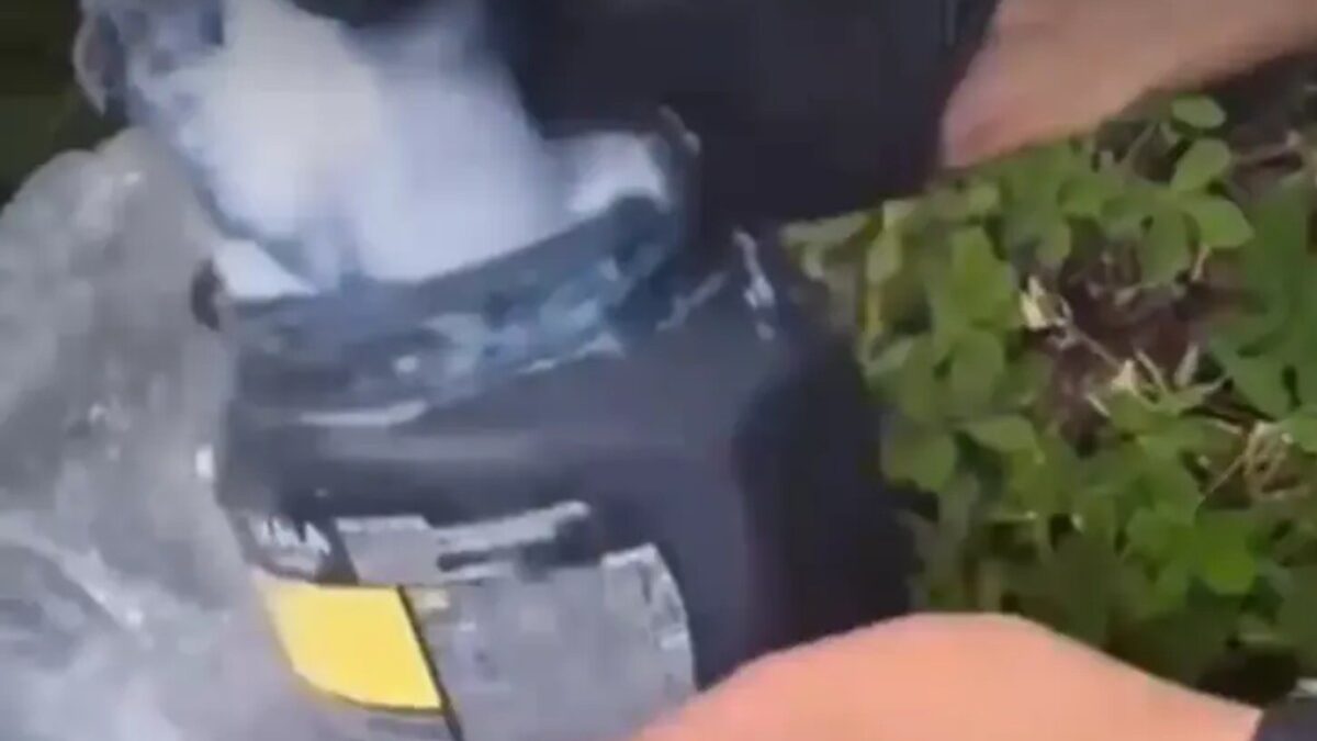 Polícia desarticula esquema que usava potes de creme de cabelo para traficar drogas, em Goianésia