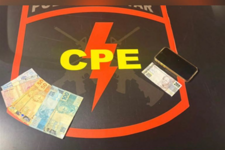 Notas falsas apreendidas pela polícia (Foto: Reprodução)