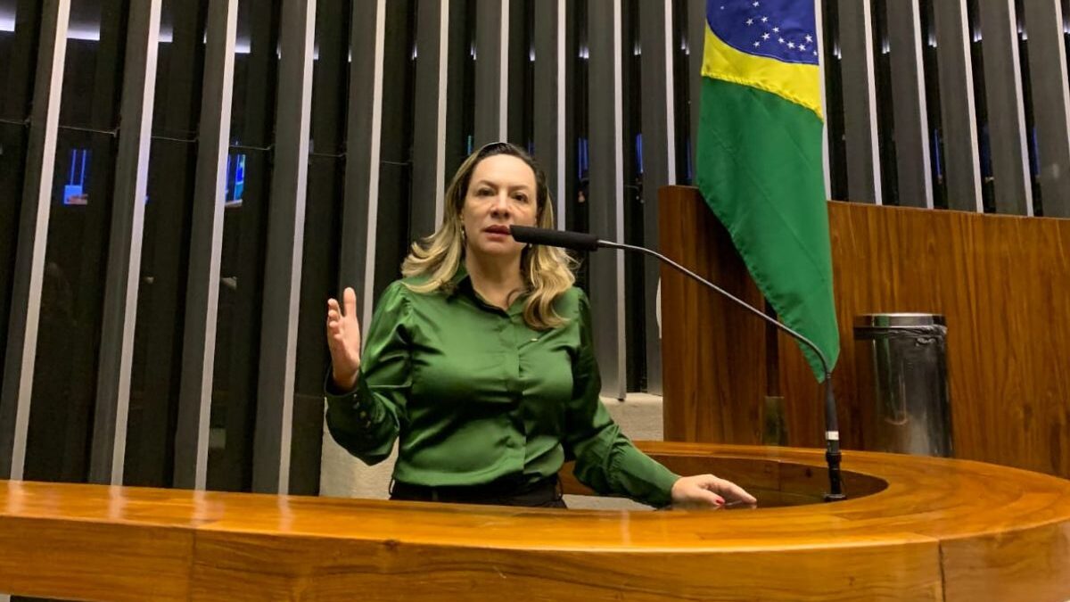 Deputada Adriana Accorsi (Foto: Divulgação)