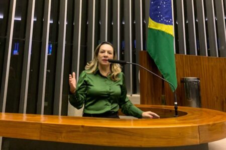 Deputada Adriana Accorsi (Foto: Divulgação)