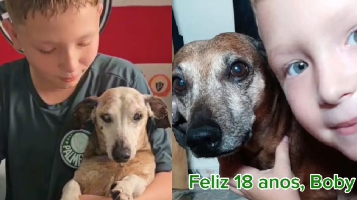Garoto chora no aniversário de 18 anos de cachorro: "Meu companheiro já não enxerga bem"; vídeo Internautas se emocionaram