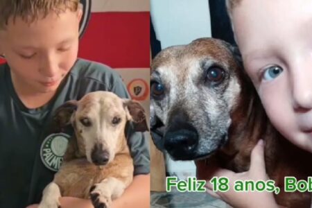 Garoto chora no aniversário de 18 anos de cachorro: "Meu companheiro já não enxerga bem"; vídeo Internautas se emocionaram