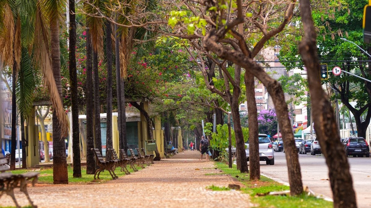 Centro de Goiânia (Foto: Jucimar de Sousa)