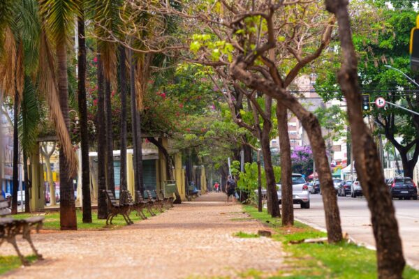Centro de Goiânia (Foto: Jucimar de Sousa)