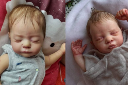 Imagem de dois bebês reborn