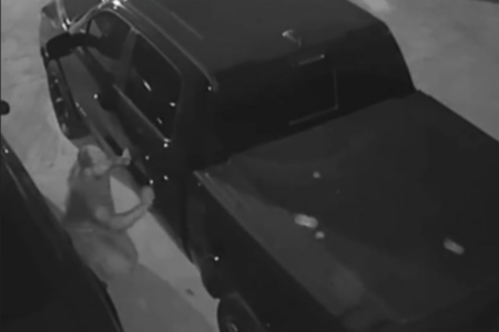 Homem risca caminhonete por desavença (Foto: Reprodução)