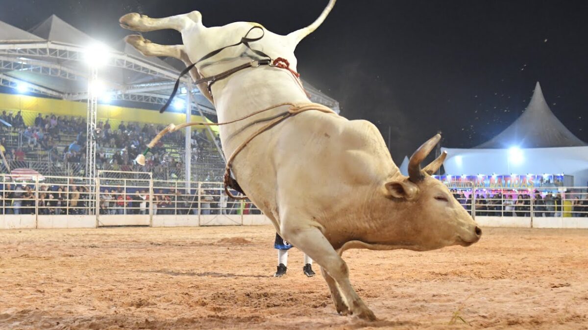 Touro escapa de arena e causa tumulto em rodeio de São João D’Aliança; vídeo Gravação mostra a correria e pânico do público
