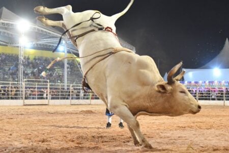 Touro escapa de arena e causa tumulto em rodeio de São João D’Aliança; vídeo Gravação mostra a correria e pânico do público