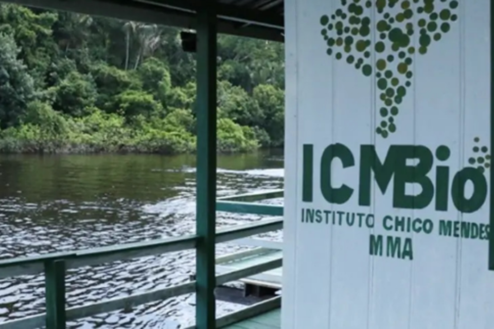 Imagem da lobo da ICMBio