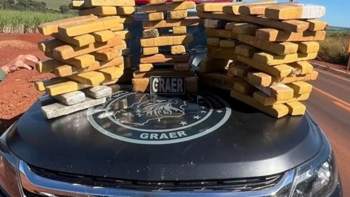 A imagem mostra os tabletes das drogas apreendidas