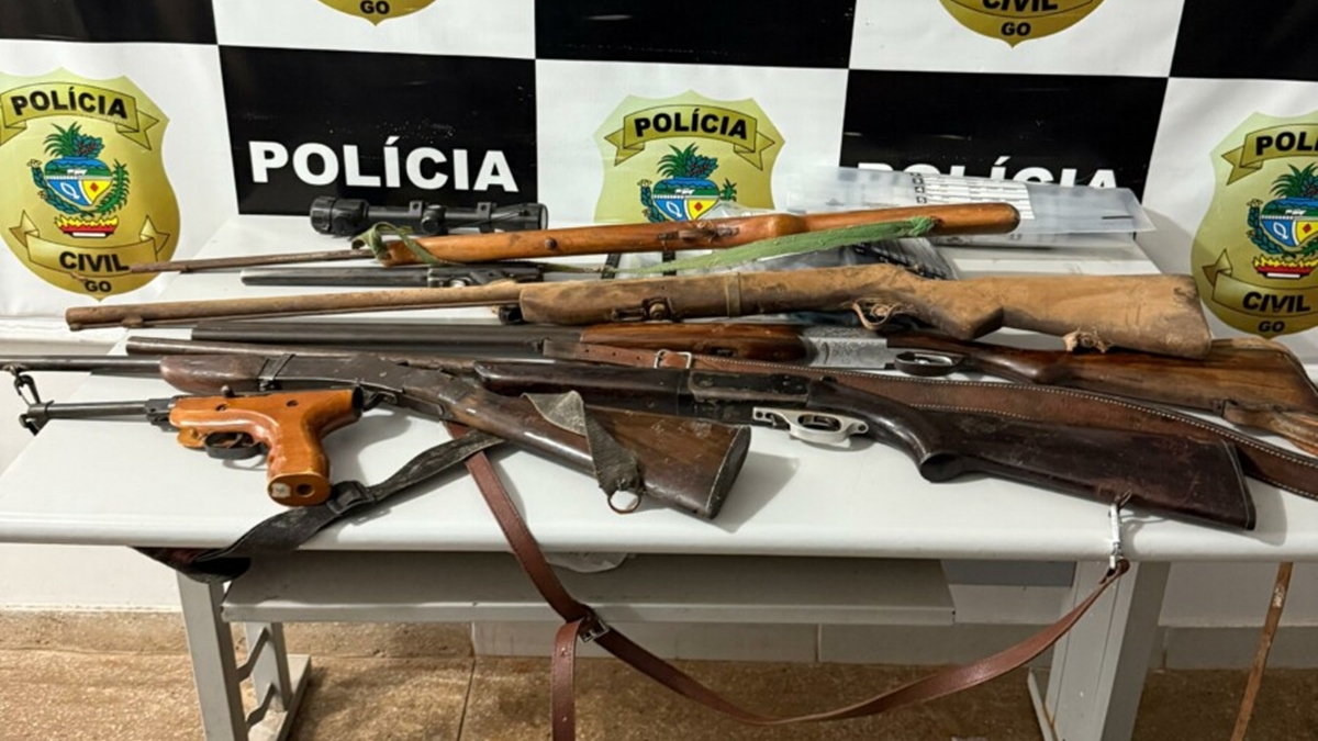 Suspeito de ameaçar a ex é preso com arsenal de armas de fogo em São Luís de Montes Belos