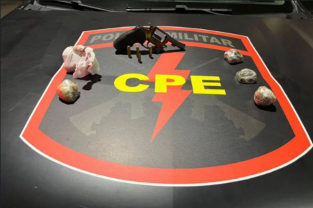 Arma e munições encontradas pela polícia (Foto: Divulgação)